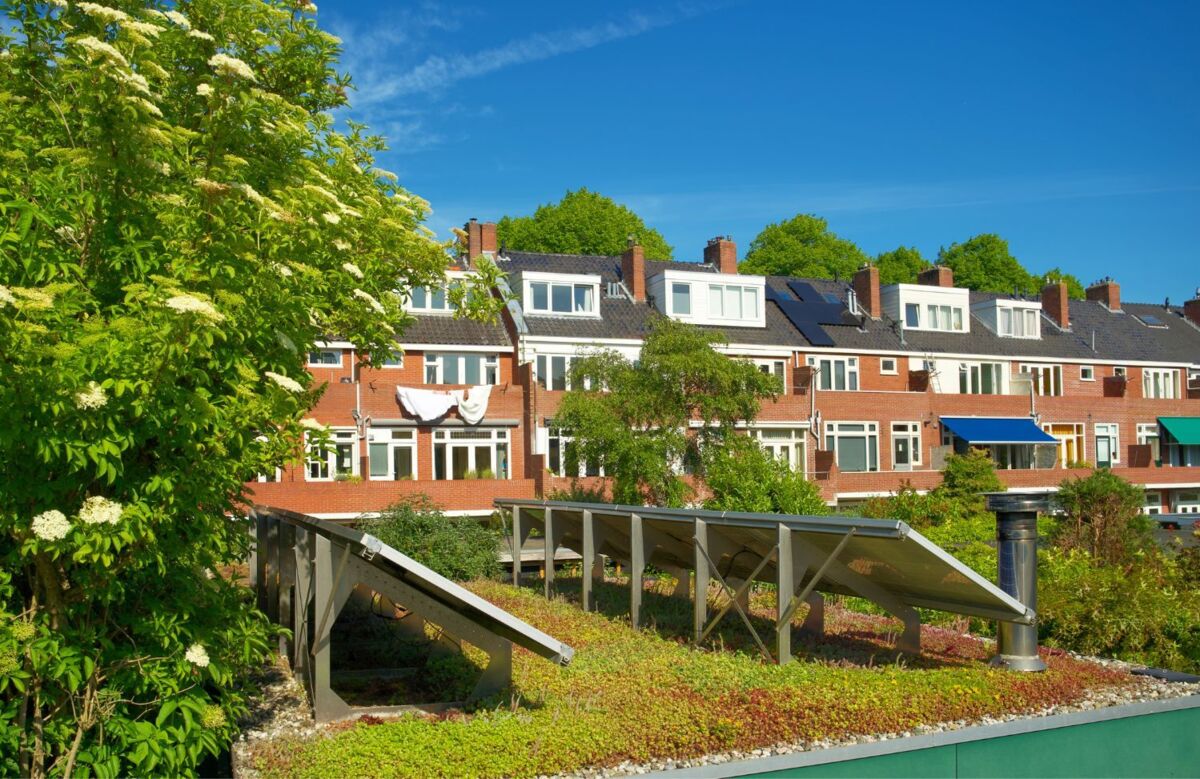 Zonnepanelen op een groen dak